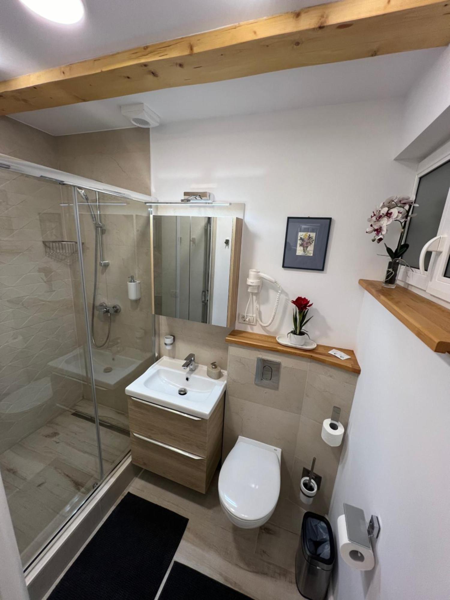 Apartment Cozy Brasov